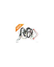 RAMAL ELECTRICO RZ250 GDM