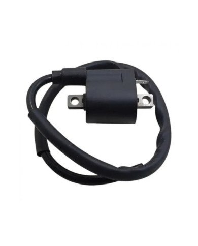 BOBINA DE ALTA XL 185 TW TEC