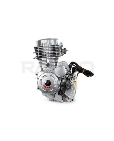 MOTOR MARCA RAUDO 250CC 3R E/AIRE 11.5KW/7500RPM/MIN