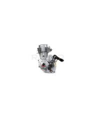 MOTOR MARCA RAUDO 250CC 3R E/AIRE 11.5KW/7500RPM/MIN