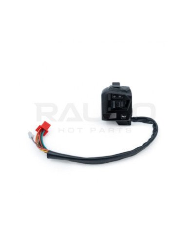 COMANDO IZQUIERDO NS200 RAUDO
