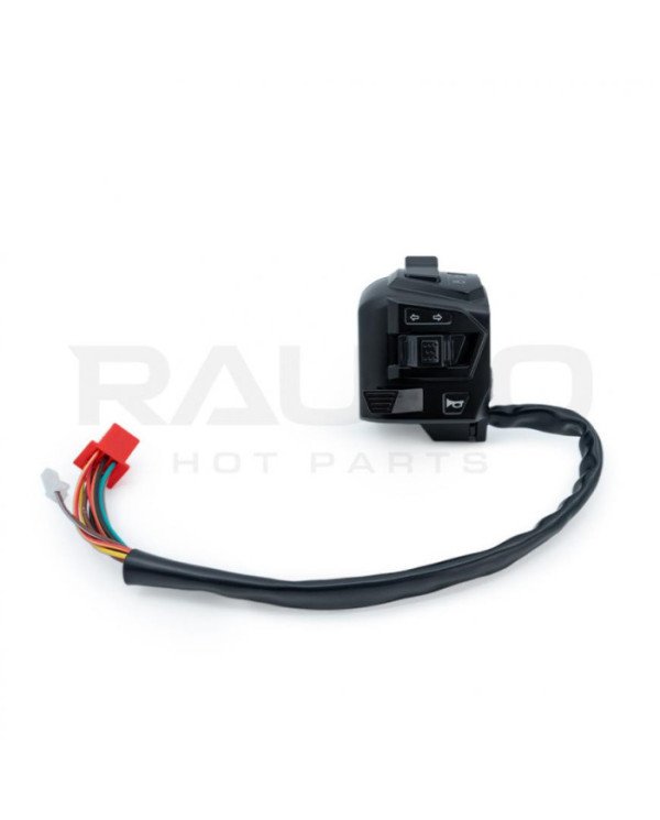 COMANDO IZQUIERDO NS200 RAUDO