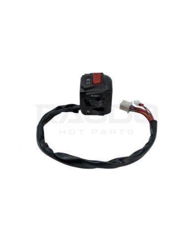 COMANDO DERECHO NS200 RAUDO