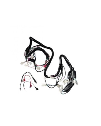RAMAL ELECTRICO CUATRIMOTO ATV-250