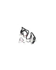 RAMAL ELECTRICO CUATRIMOTO ATV-250