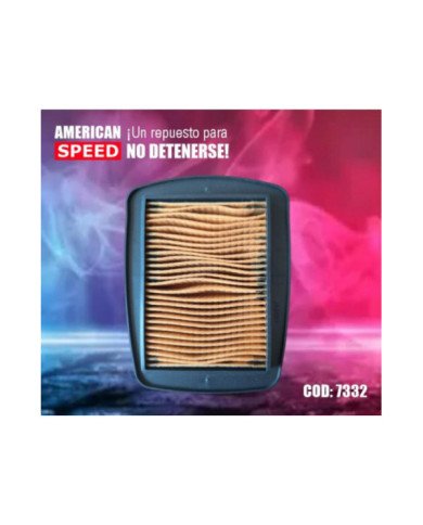 FILTRO AIRE DAVEST 250