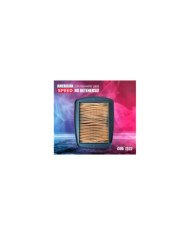 FILTRO AIRE DAVEST 250