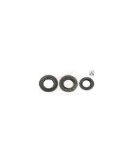 KIT RETEN MOTOR PREMIUM 3PZS - CZHB-1 COMPATIBLE CON CB-1/TWISTER-125