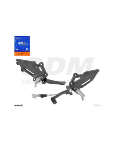 ESTRIBO COMP. DELT. DER/IZQ. RZ250 PISTERA   GDM