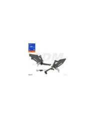 ESTRIBO COMP. DELT. DER/IZQ. RZ250 PISTERA   GDM
